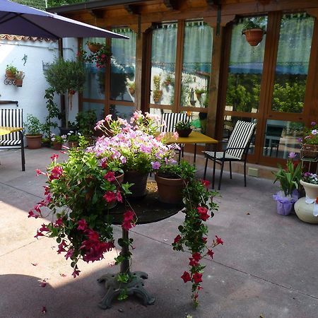Bed and Breakfast Casa Dodic Triest Exterior foto